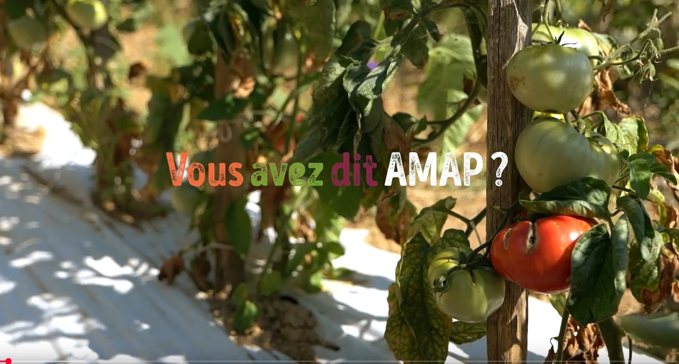 Comprendre et faire comprendre les AMAP en vidéo
