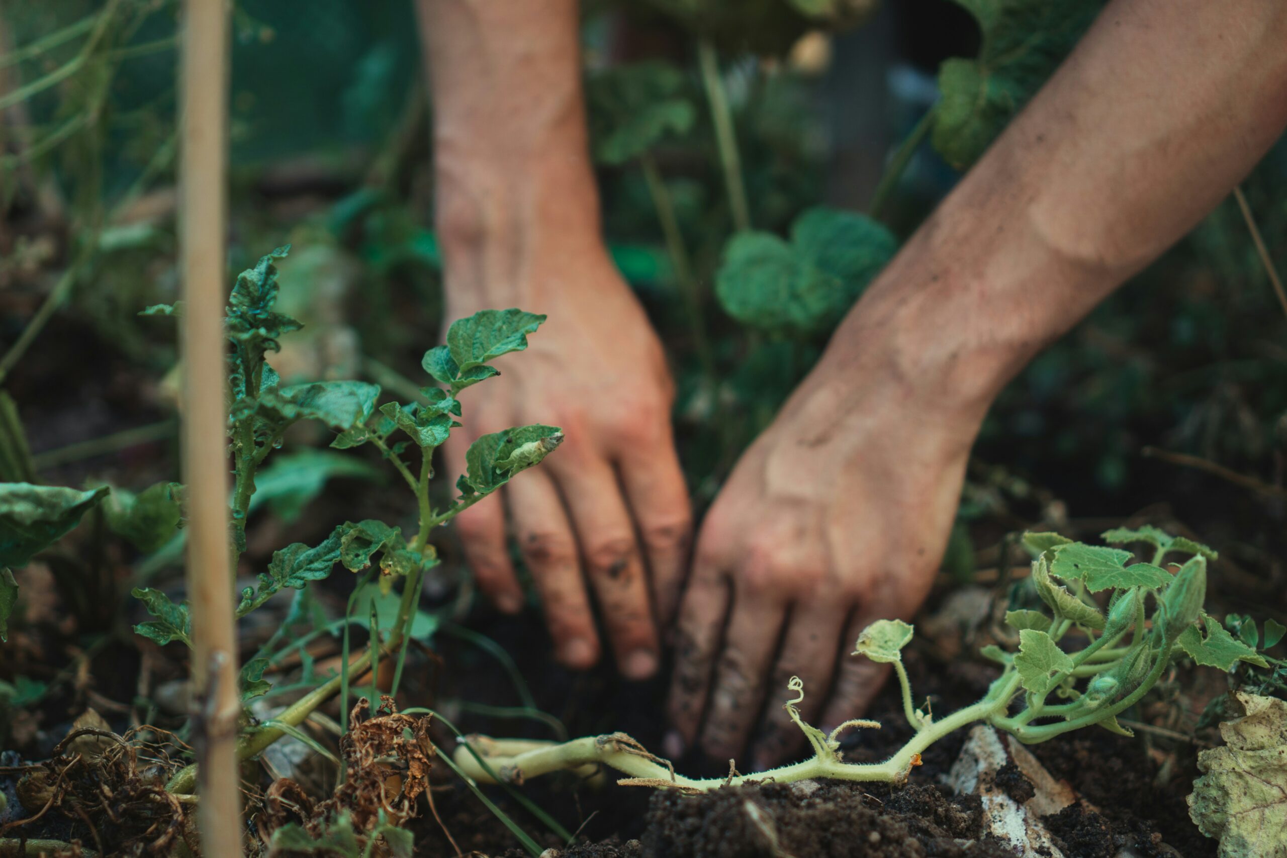 Changement climatique : témoignages de paysan·ne et ressources